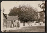Homes in Bohemian Flats, ca. 1902